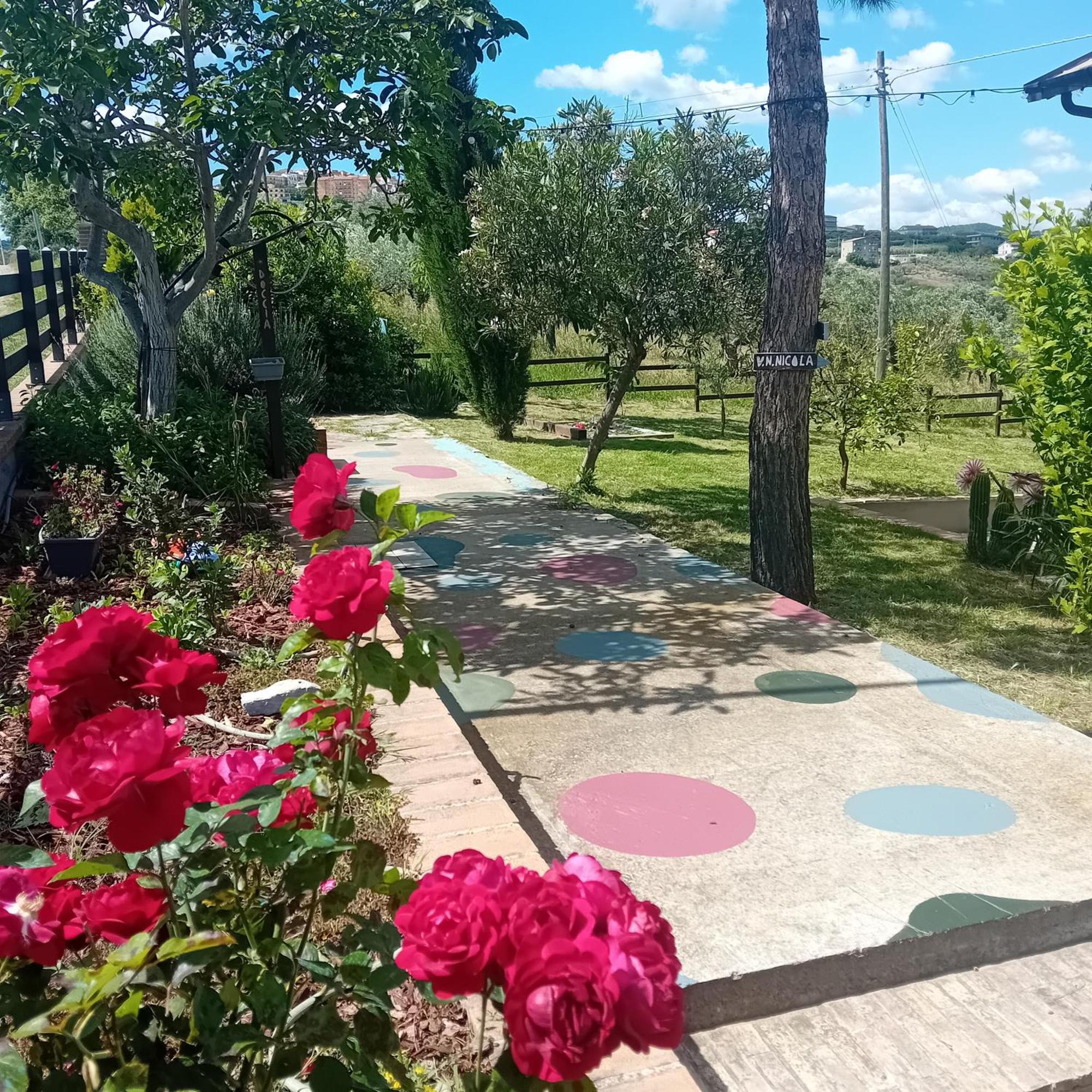 Villa Nonno Nicola Montenero di Bisaccia Exterior foto